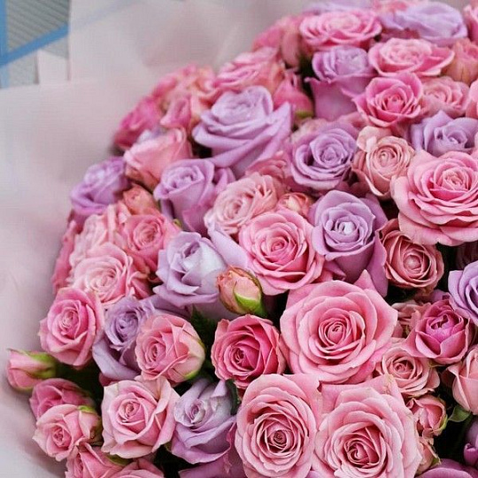 Кустовые розы и роза Maritim