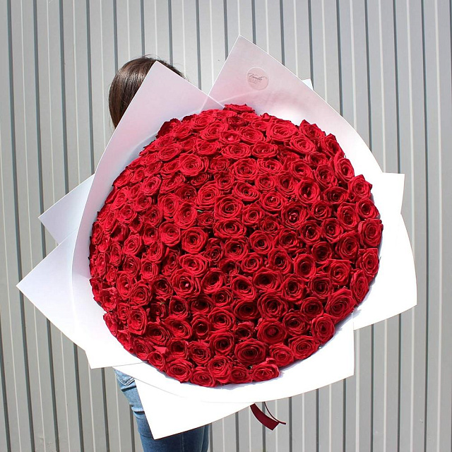 151 роза Рэд Наоми 60 см - изображение 2