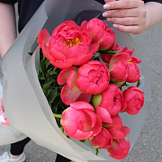 11 пионов Coral Charm