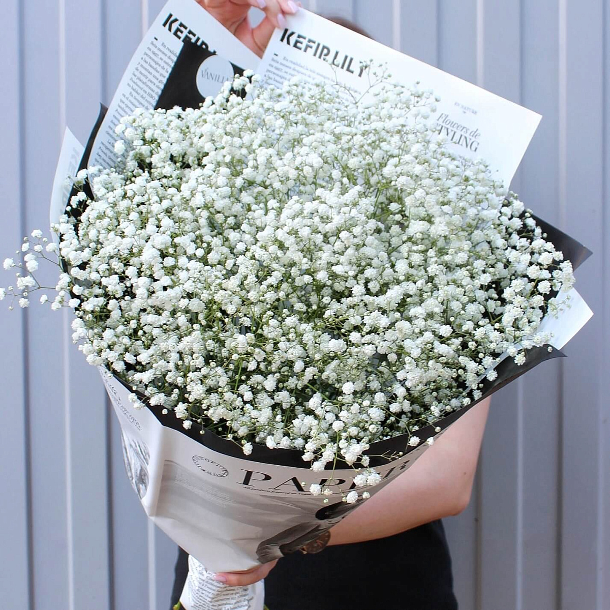 Белая гипсофила в журнальном оформлении