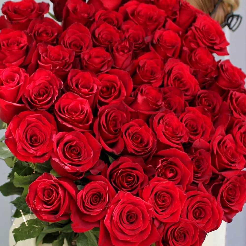 Букет из 51 розы Explorer 90 см