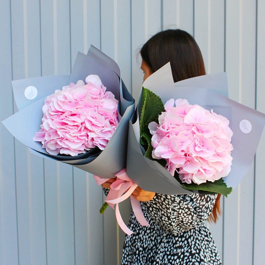 Розовая гортензия