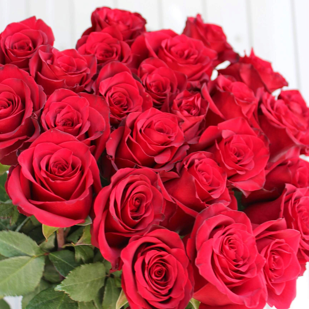 Букет из 25 роз Explorer 90 см