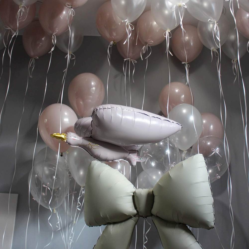 Сет шаров на выписку "Аист"