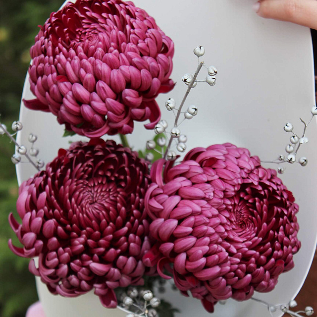 Букеты из хризантем: Букет "Осенний комплимент"