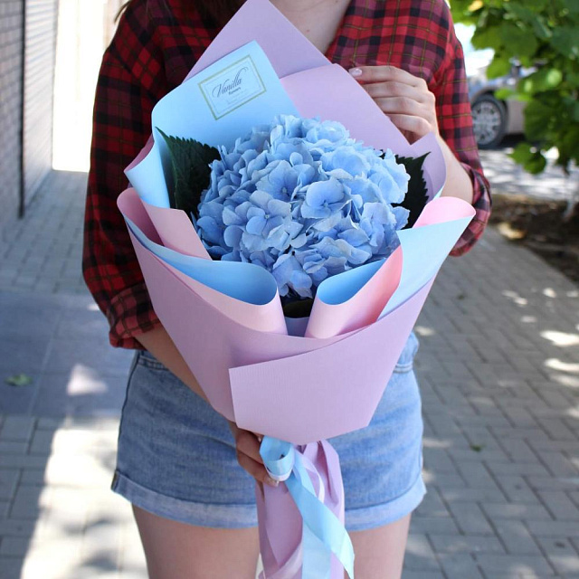 Букет учителю из гортензии - изображение 2