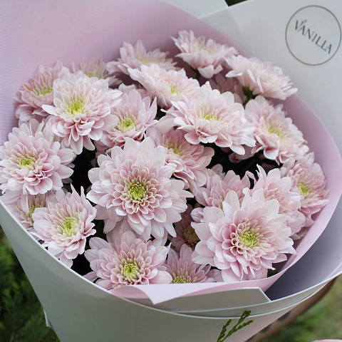 Подарочные наборы: Набор из букета с хризантемой и игрушкой