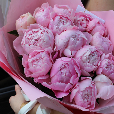 Букеты пионов: Ароматный букет из 15 пионов 