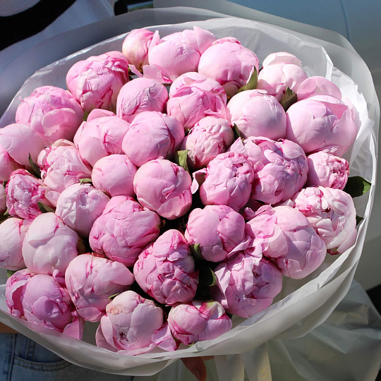 Букет из розовых пионов