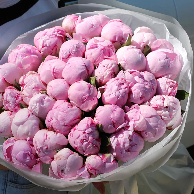 Цветы на праздник: Букет из розовых пионов