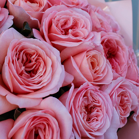 19 роз: Букет из 19 пионовидных роз Лондон Ай 50 см