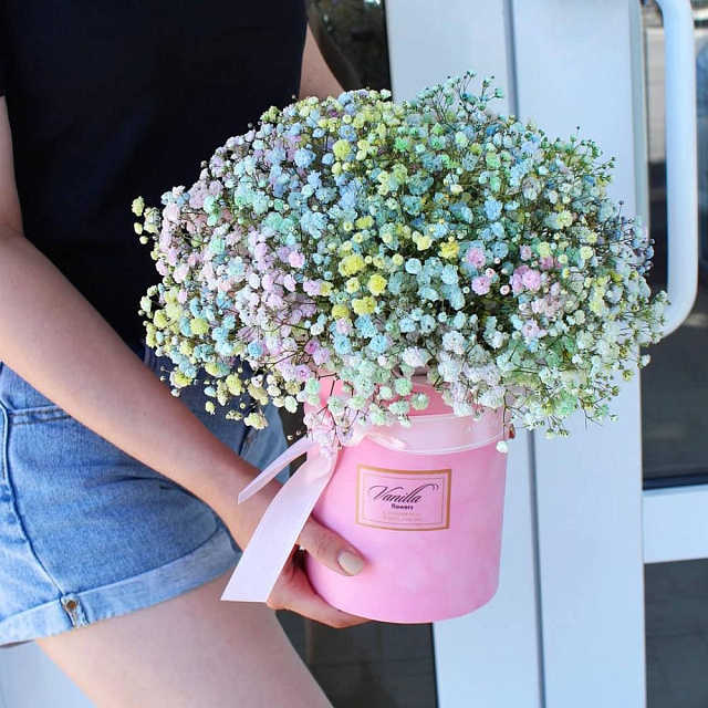 Радужная гипсофила в цилиндре - изображение 2