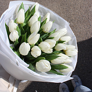 27 белых тюльпанов
