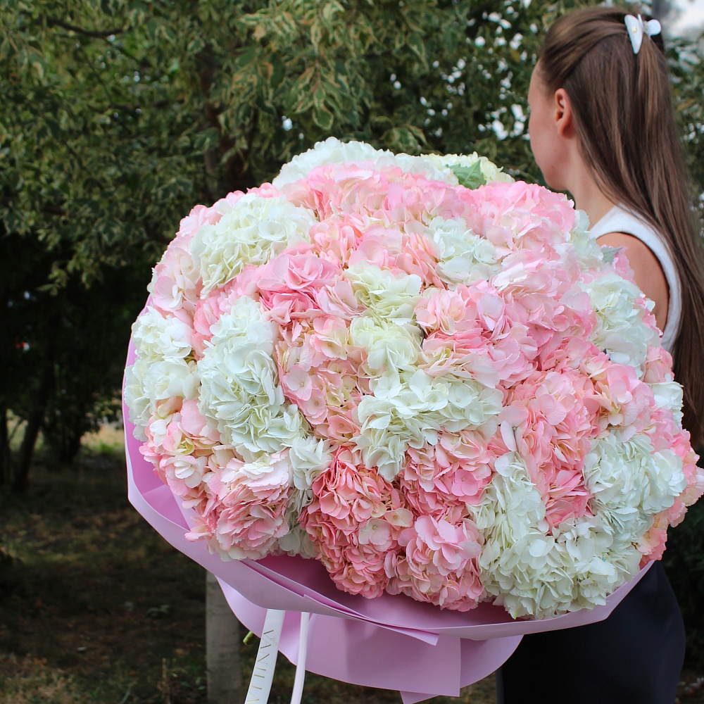 Букет из 51 гортензии микс «Ванилла»