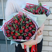 33 пионовидных тюльпана