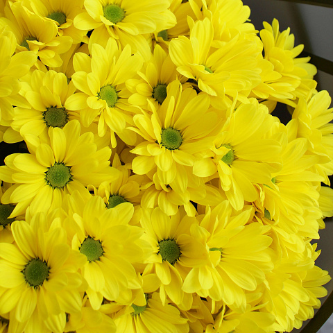 Букеты цветов для папы: Букет из желтой хризантемы