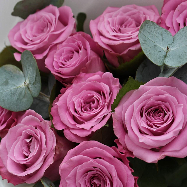 Букеты из 9 роз: Букет из 9 роз Маритим с эвкалиптом 50 см