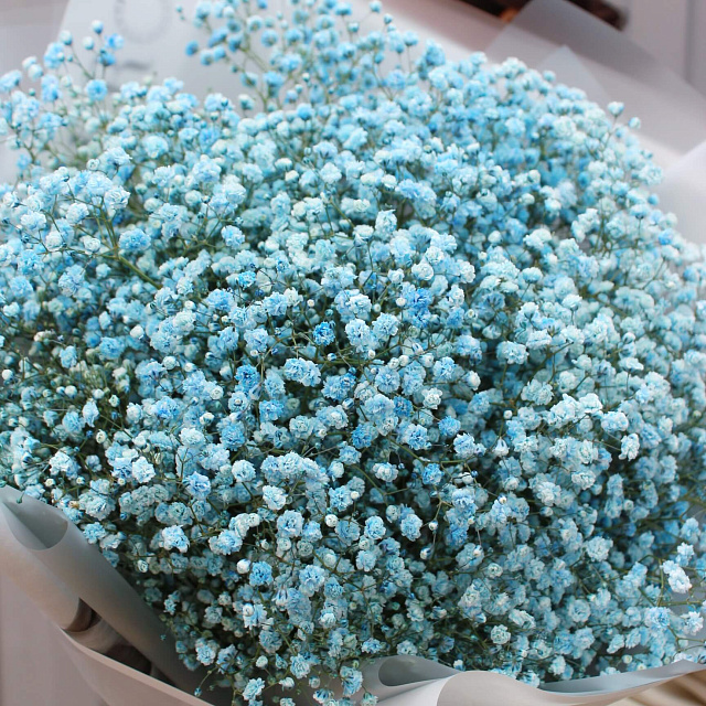 Необычные букеты: Голубая гипсофила в букете