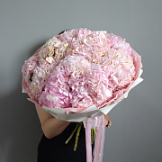 Букет из гортензии "Pink"