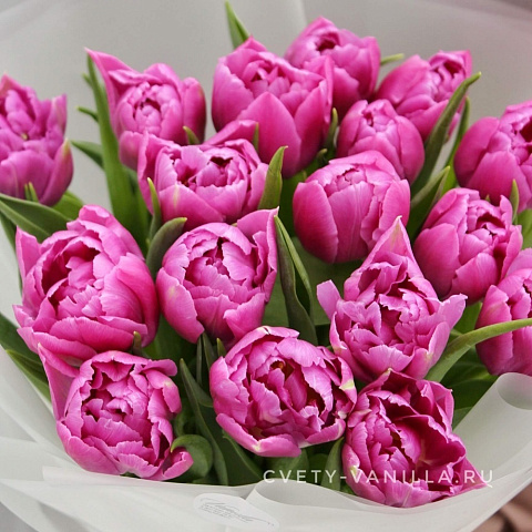 Букет пионовидных тюльпанов: 17 пионовидных тюльпана в нейтральном оформлении