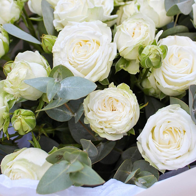 Букеты белых роз: Букет "Нежный презент"