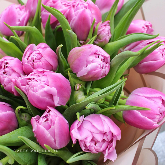 Подарки на 14 февраля: Розовые пионовидные тюльпаны