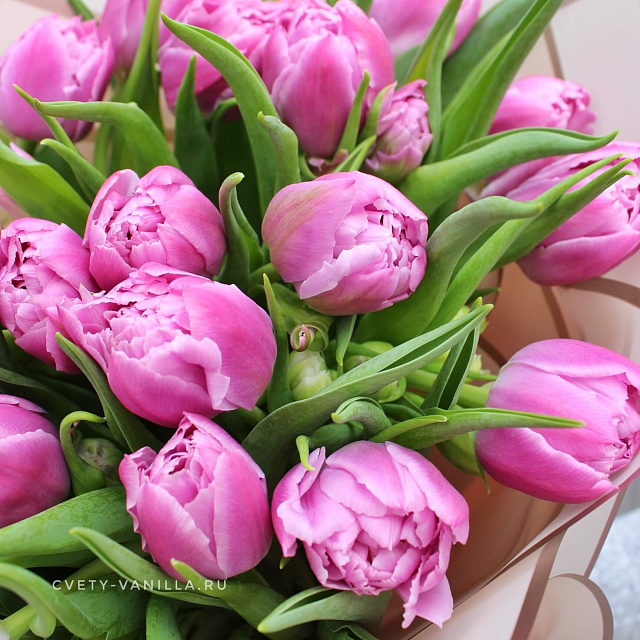 Букет пионовидных тюльпанов: Розовые пионовидные тюльпаны