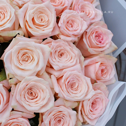 Букеты из 41 розы: Роза персиковая "Кимберли" 41 шт