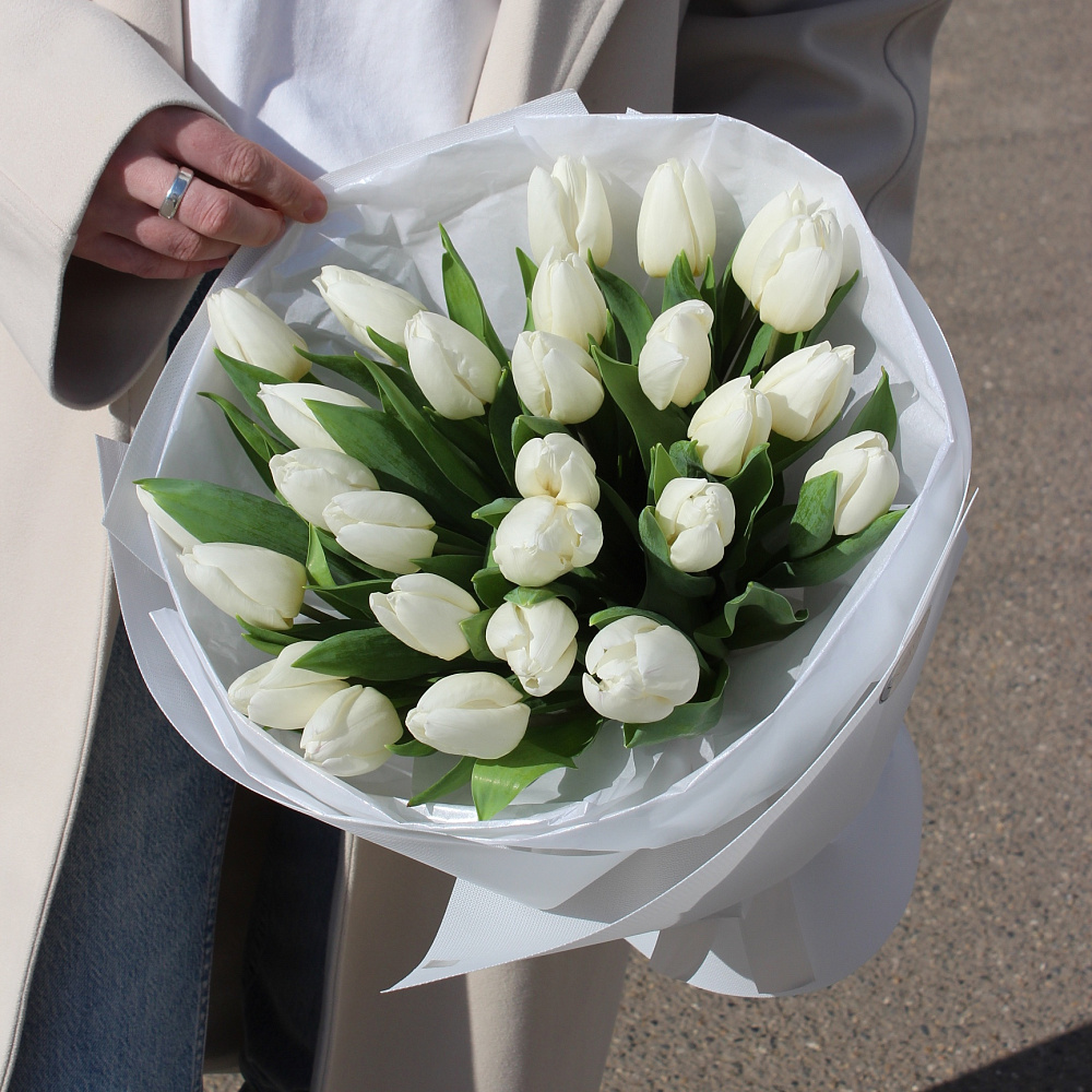 27 белых тюльпанов