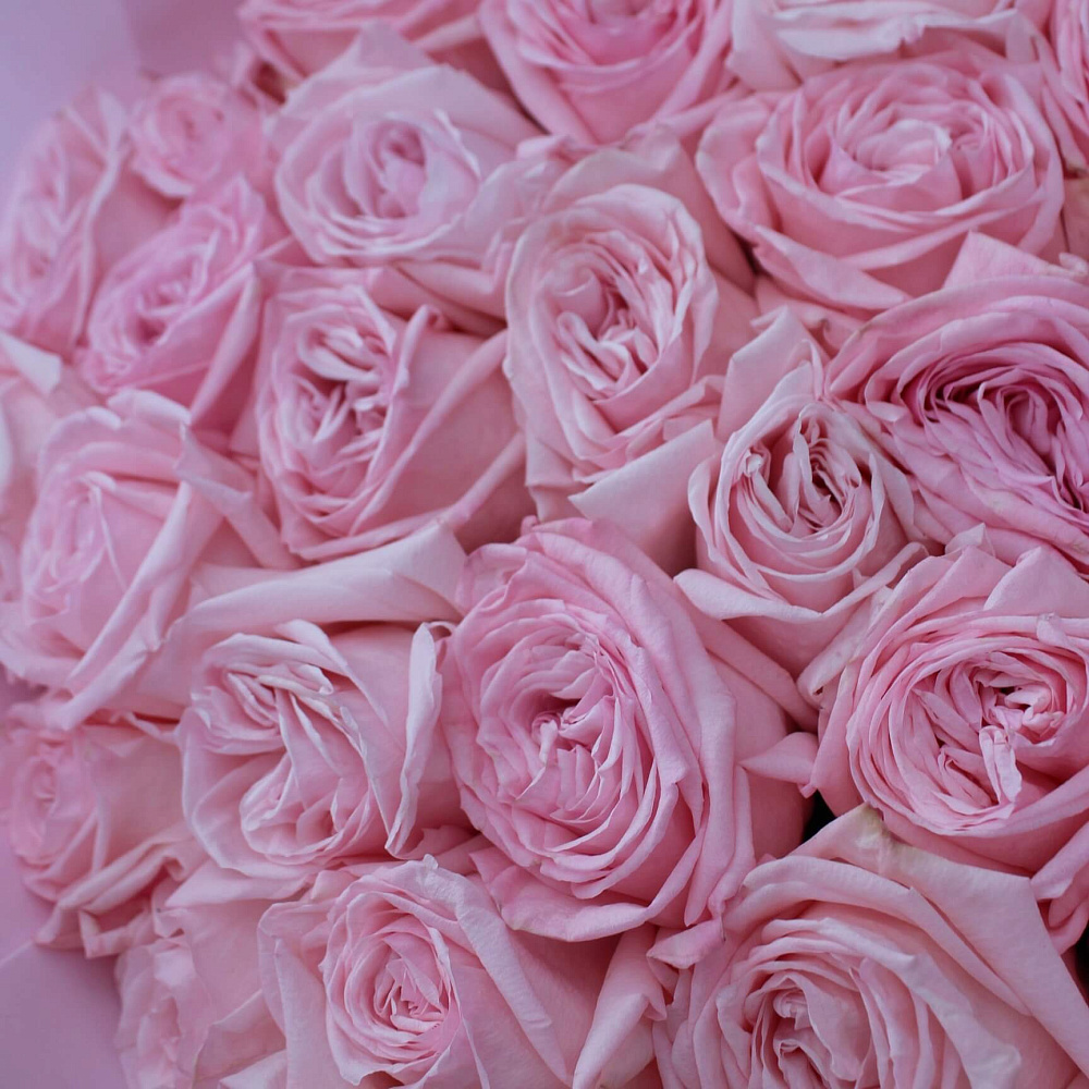 Букет из 51 розы Пинк Охара 
