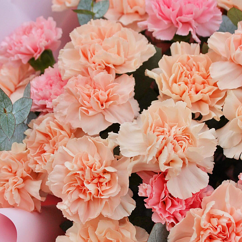 Гвоздики: Букет из нежных диантусов