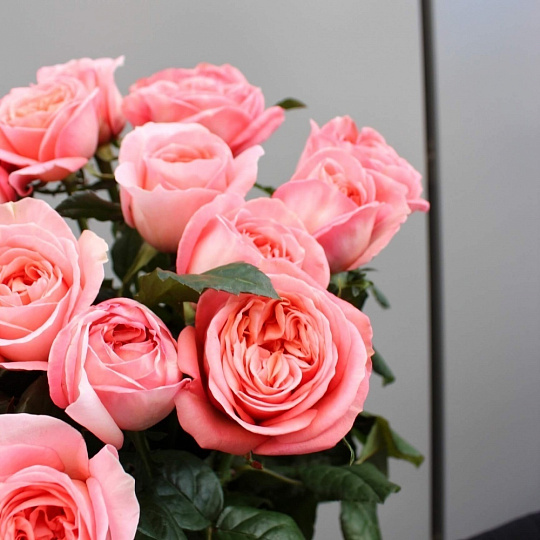 Розы поштучно: Розовая роза Лондон Ай 60 см шт.