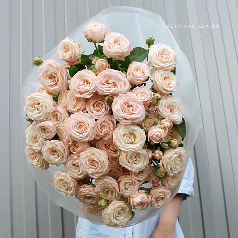 Букеты из 11 роз : Кремовые пионовидные розы Bombastic