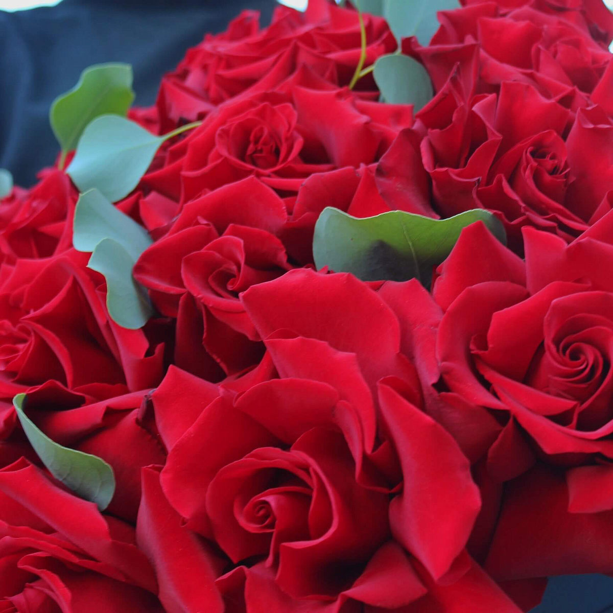 Букет из 21 французской розы