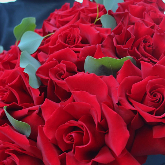 Цветы на 14 февраля: Букет из 21 французской розы