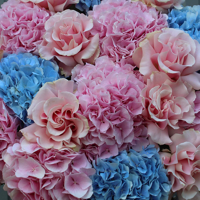 Бизнес букеты: Большой букет из гортензий "Мондиаль"