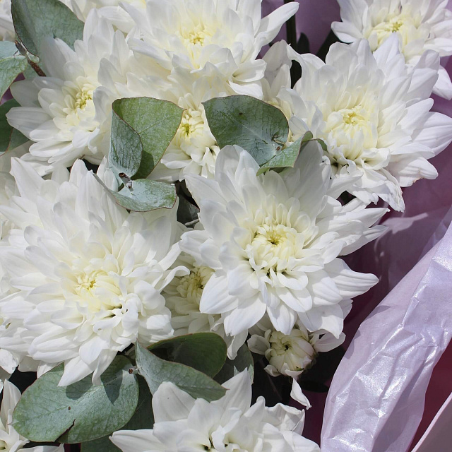 Цветы: Букет из хризантемы Балтика с эвкалиптом