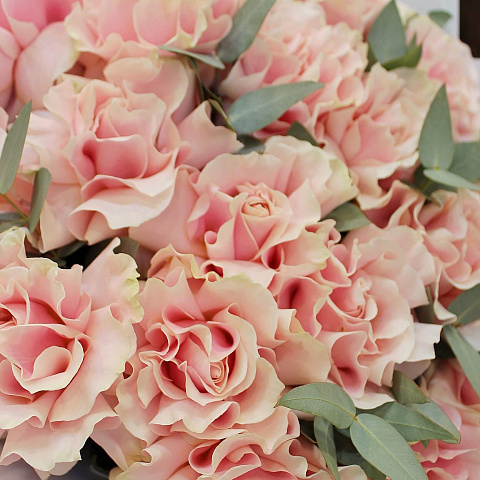 Букеты  девушке : Букет из 19 роз Пинк мондиаль в оформлении