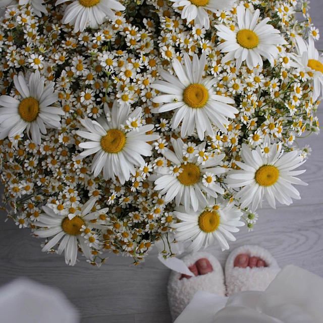 Букеты ромашек: Букет любимой "Ромашки"