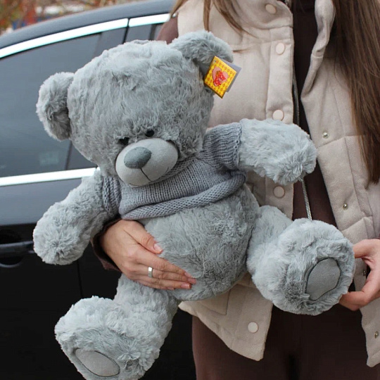 Мишка серый