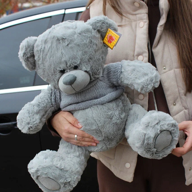 Мишка серый