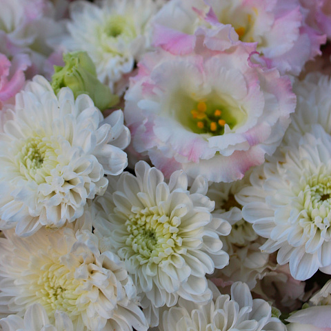 Букеты для ребенка: Букет с эустомой и хризантемой «Алтай»