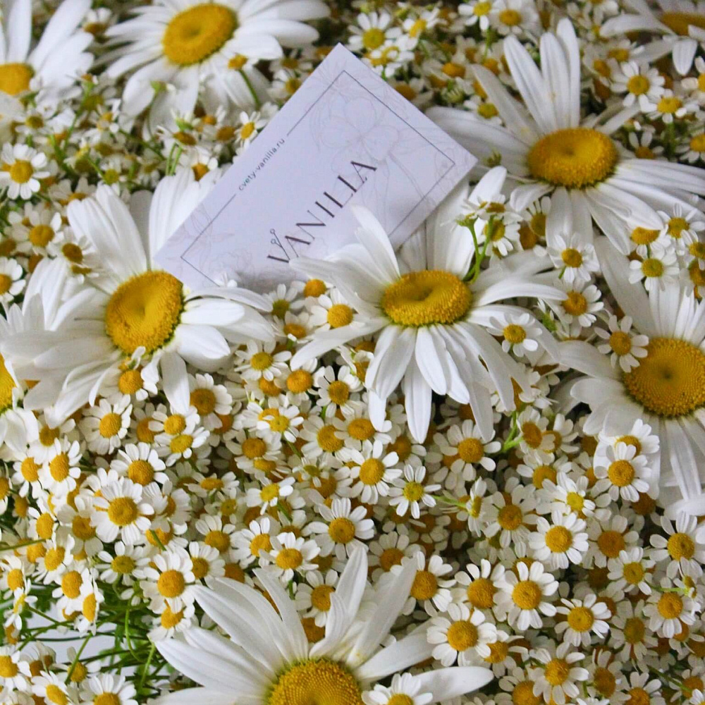 Букет любимой "Ромашки"