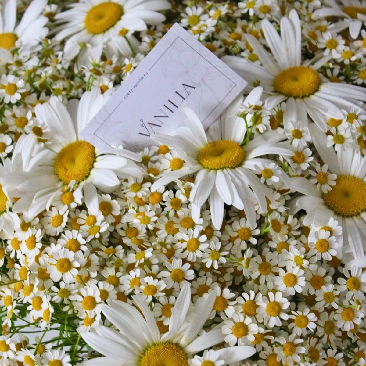 Букет любимой "Ромашки"