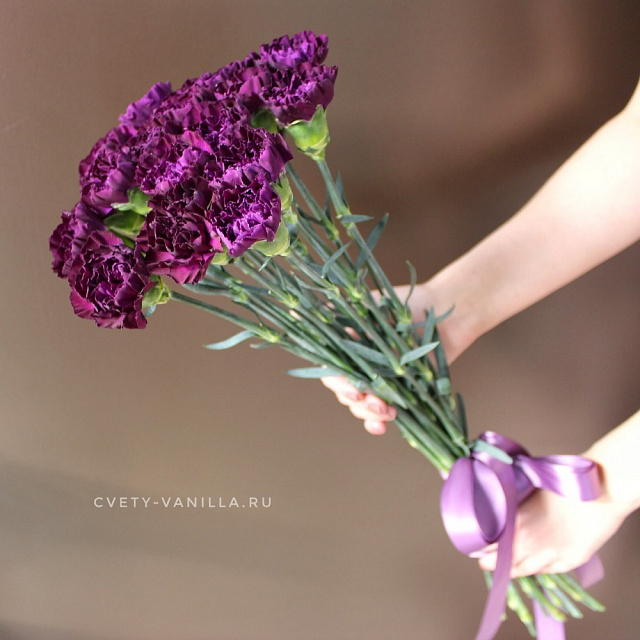 Гвоздики: Букет с фиолетовыми гвоздиками