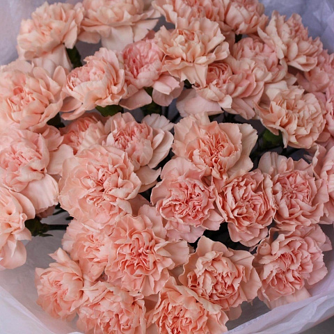 Букет из кремовых гвоздик