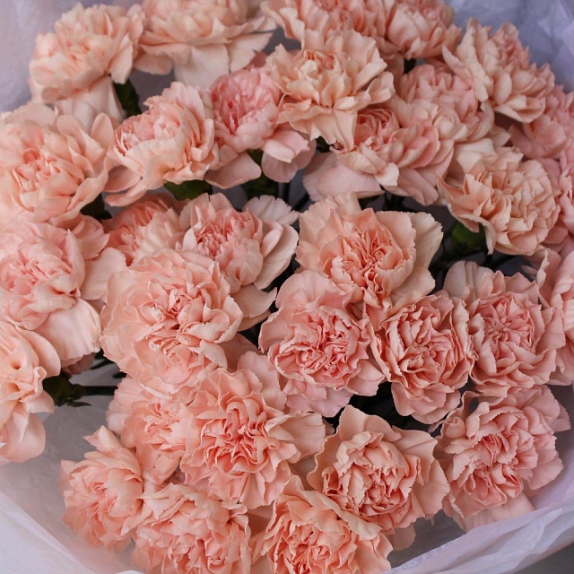 Букет из кремовых гвоздик