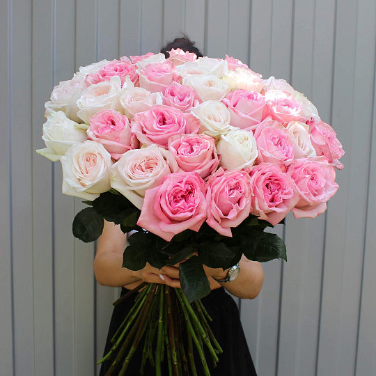 Пионовидные розы: Букет из 35 ароматных  роз Охара