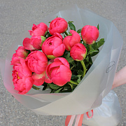 11 пионов Coral Charm