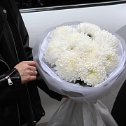 Букет белых одноголовых хризантем